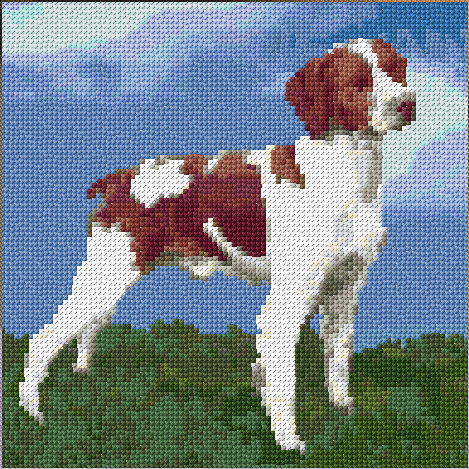 Brittany Spaniel