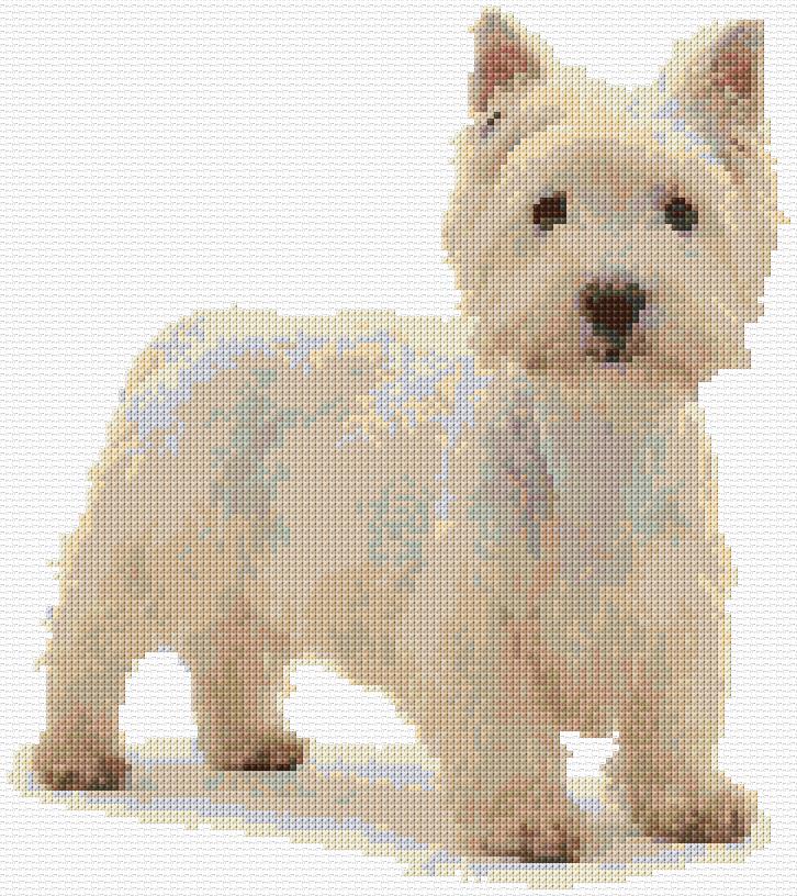 West Highland Terrier
