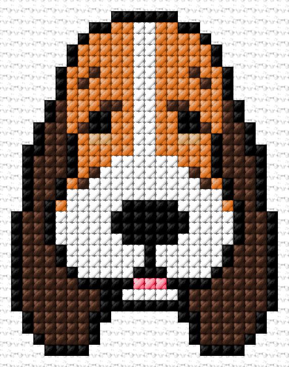 Basset Hound