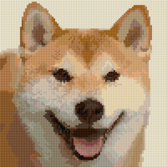 Shiba Inu