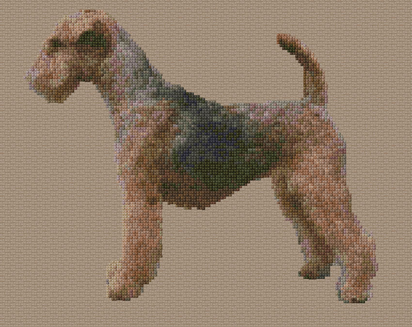 Terrier