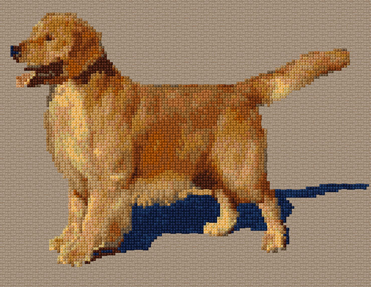 Golden Retriever