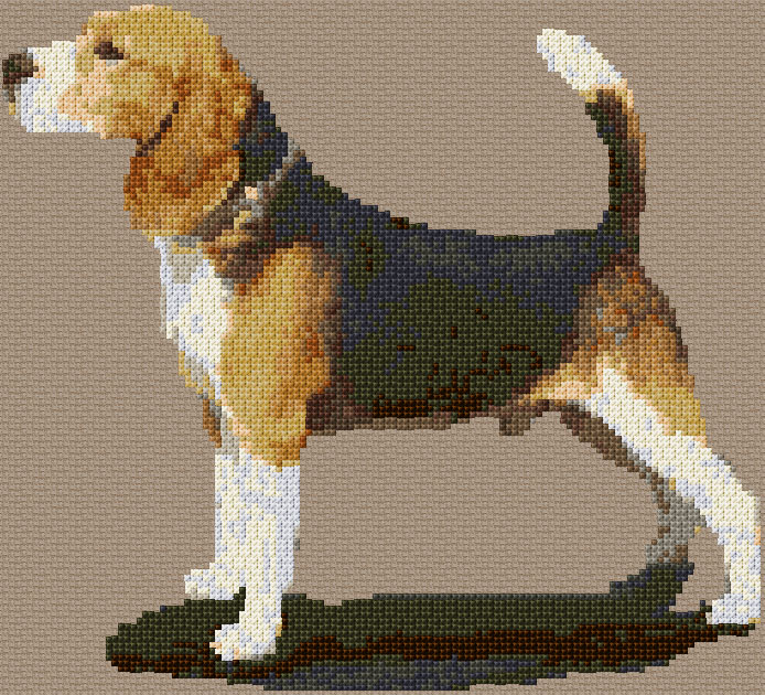Beagle