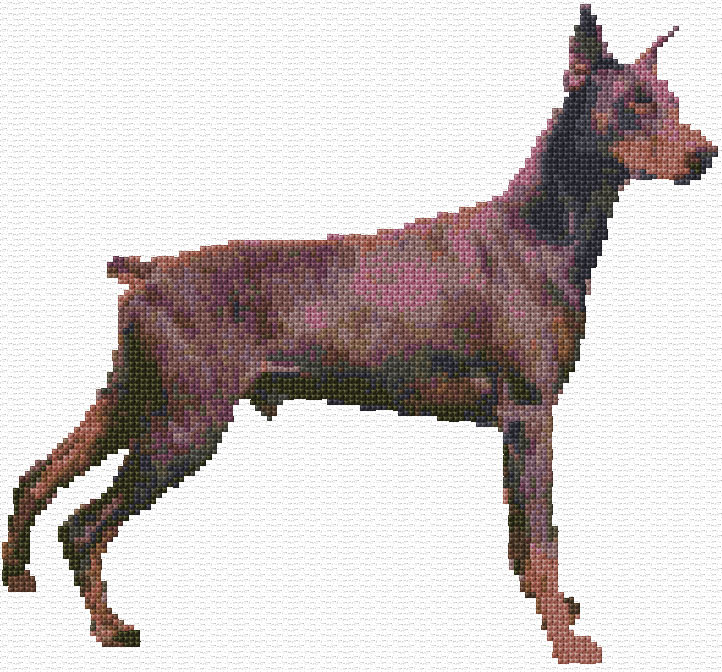 Doberman