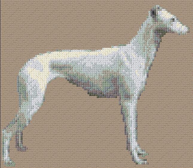 Greyhound