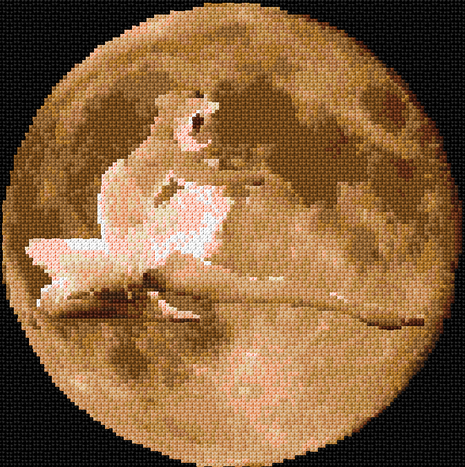 Moon Dance