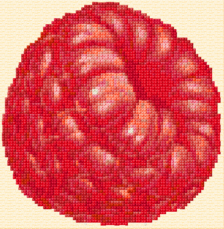 Raspberry