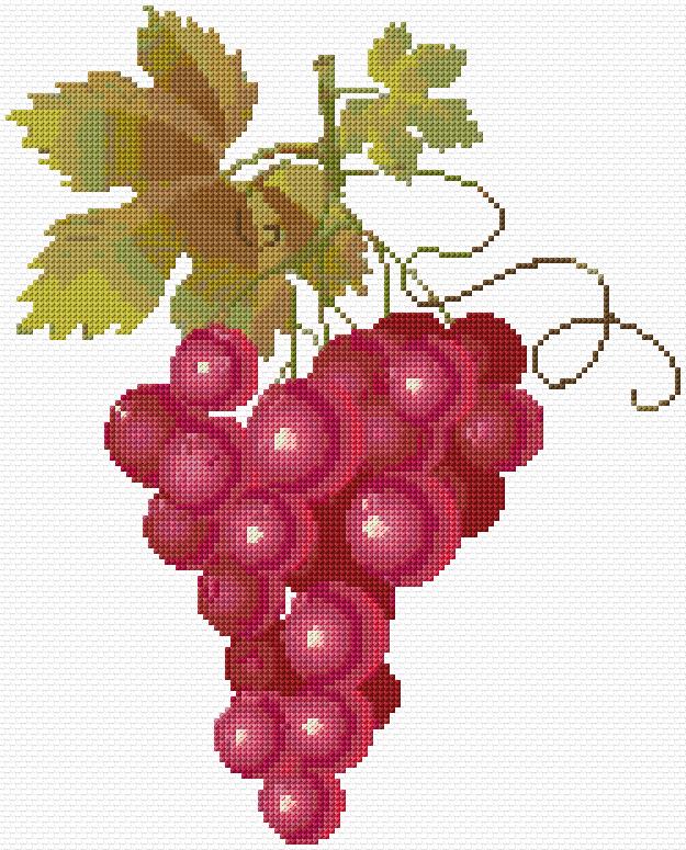 Grapes