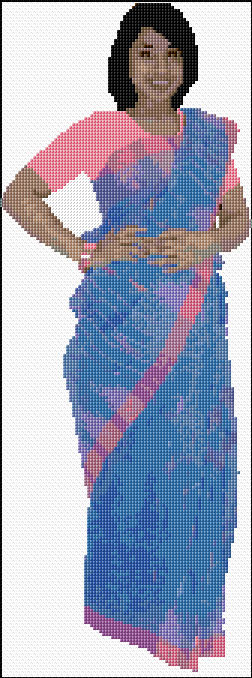 Woman in Saree