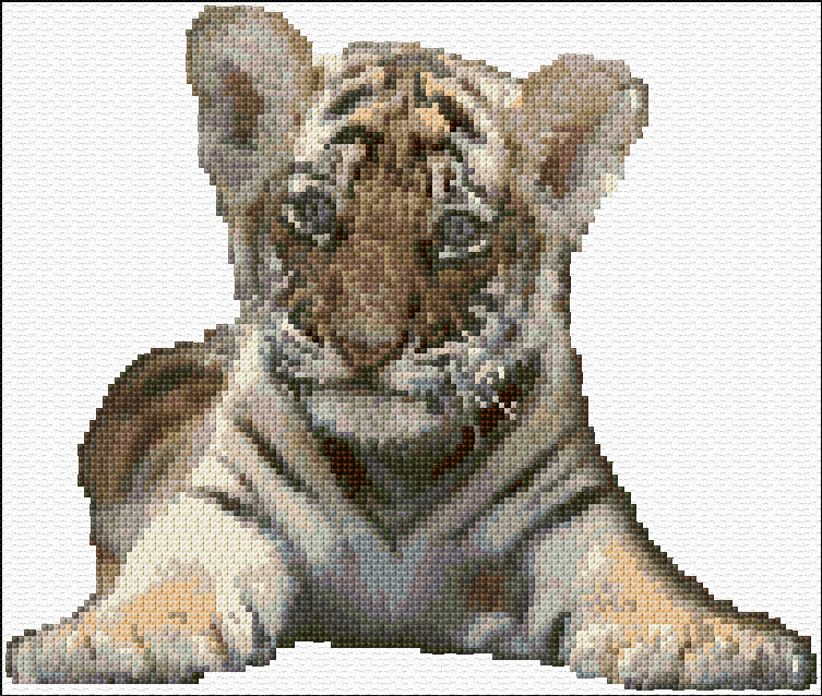 Tiger Cub