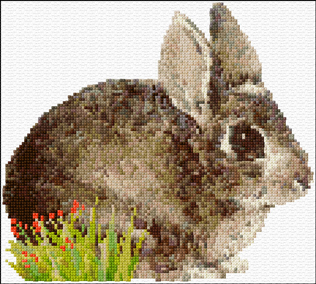 Hare
