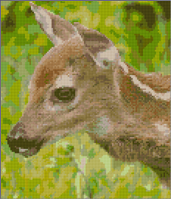 Deer