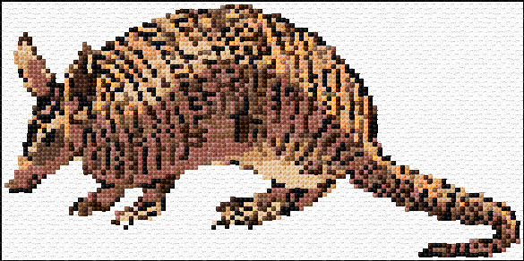 Armadillo