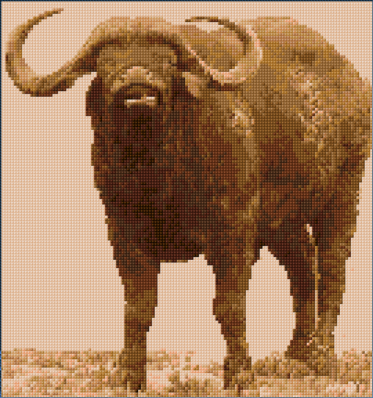 Buffalo