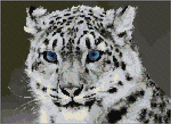 White Leopard
