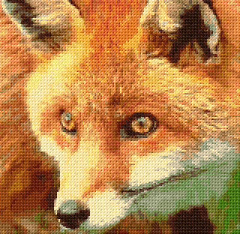Fox