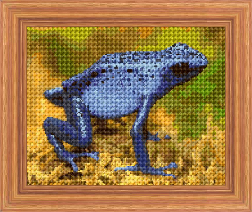 Blue Frog