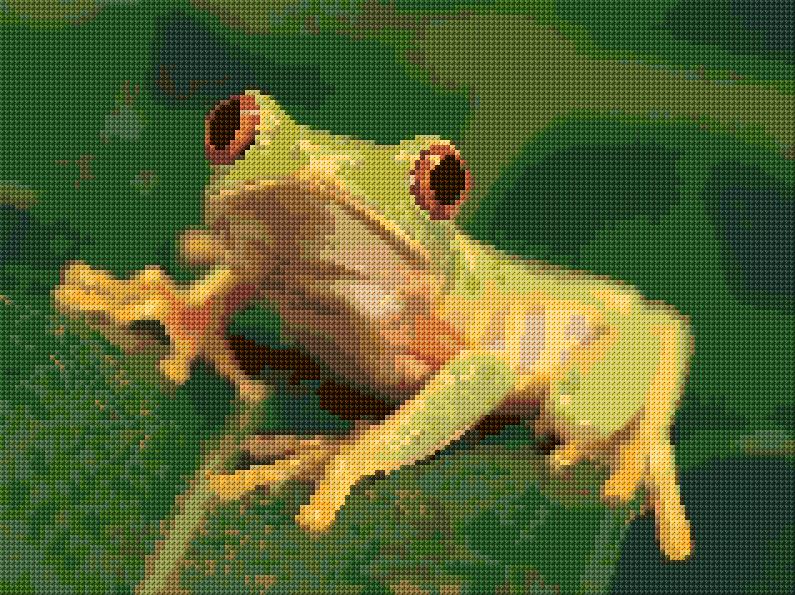 Frog