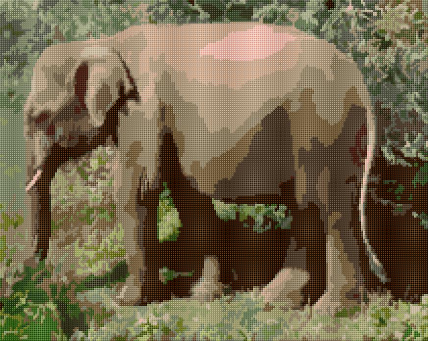 Indian Elephant