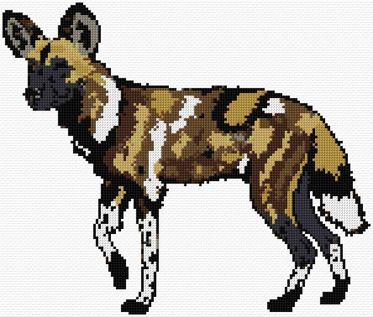 African Wild Dog