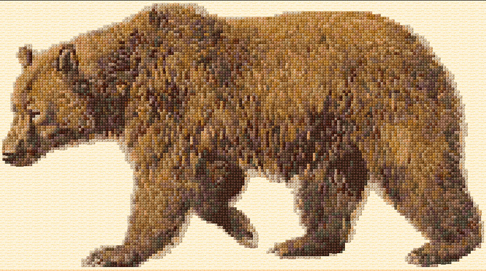 Brown Bear