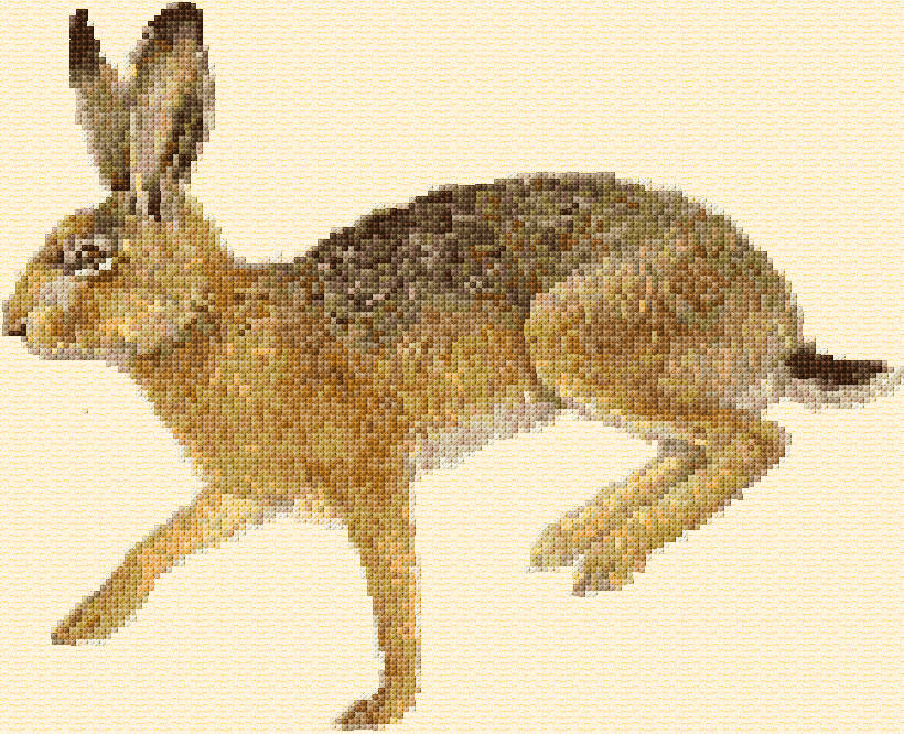 Hare