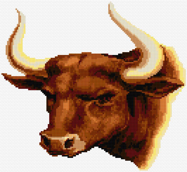 Bull