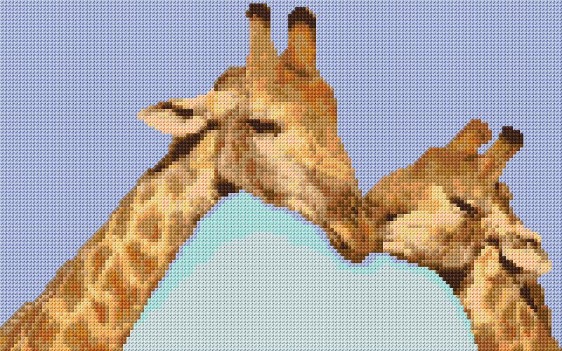 Giraffes