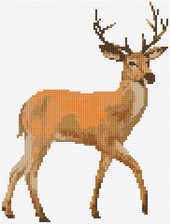 Deer