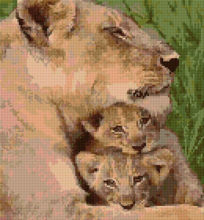 Lion's Family