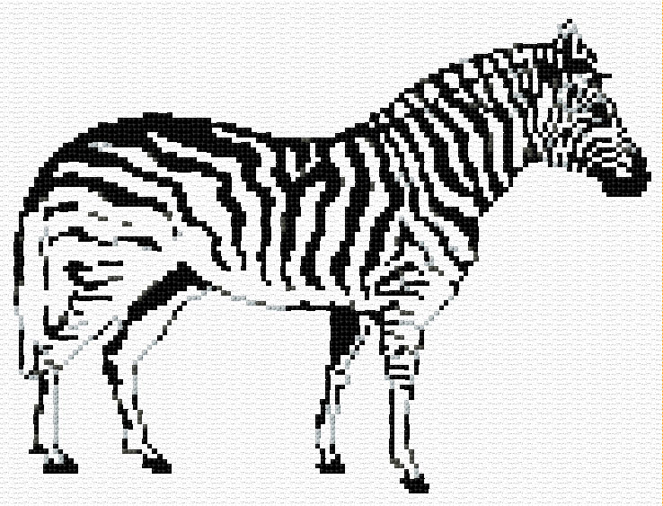 Zebra