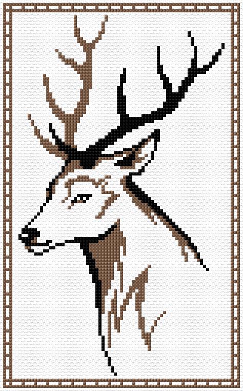 Deer