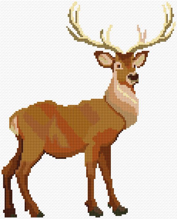Deer