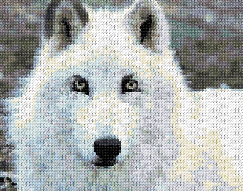 Arctic Wolf