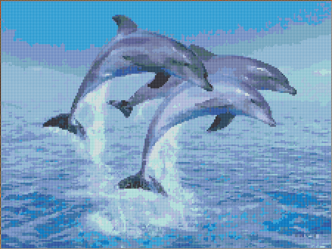 Dolphins