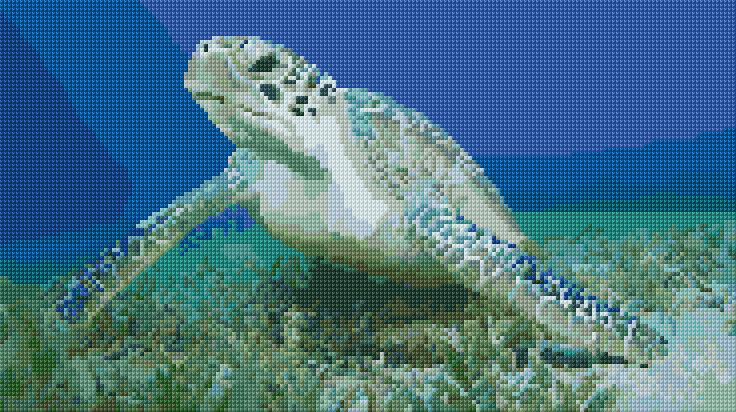 Sea Turtle