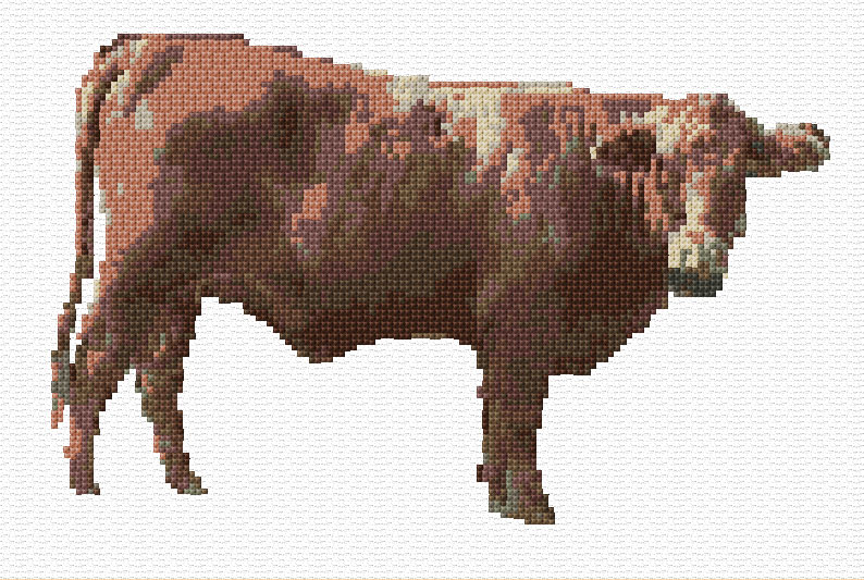 Cow