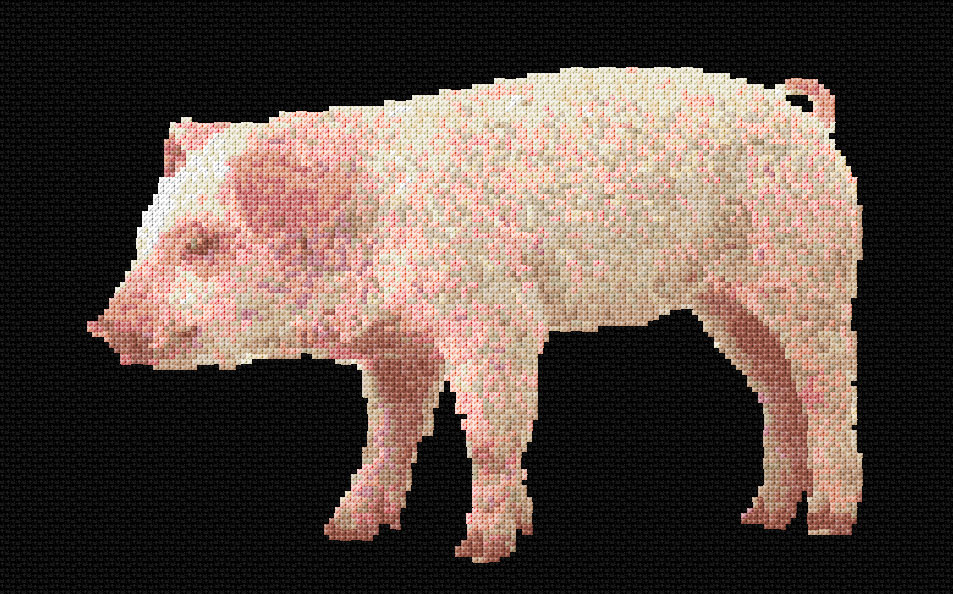 Pig