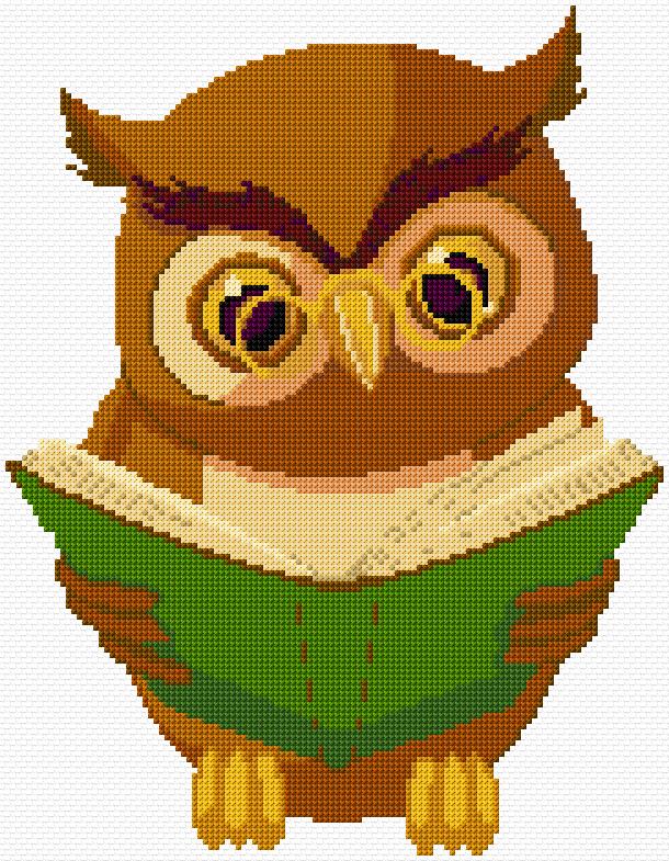 Owl