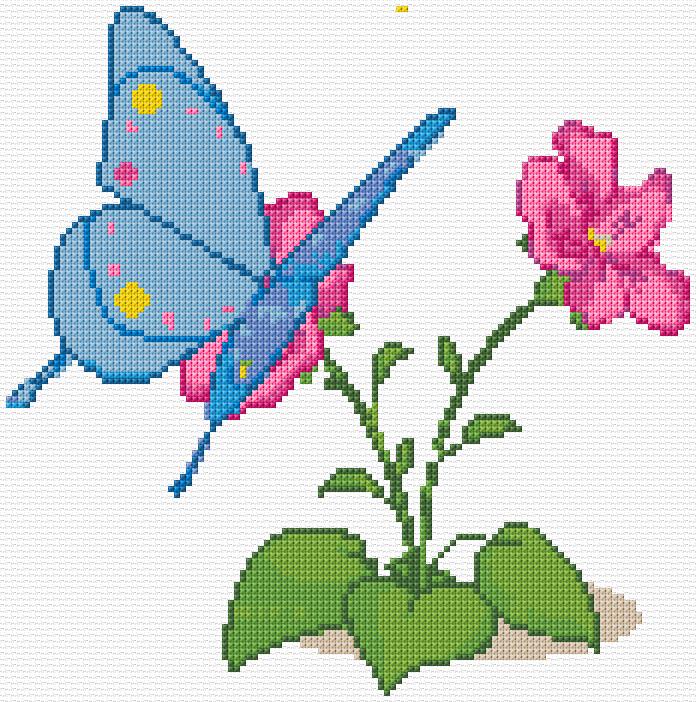 Butterfly