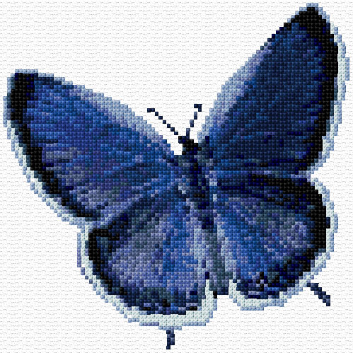 Butterfly 2