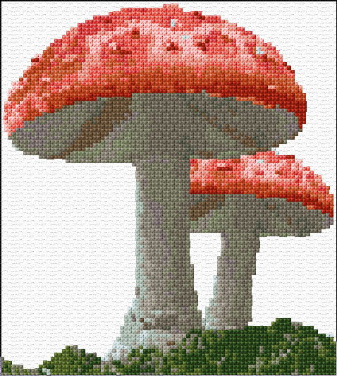 Fly Agaric