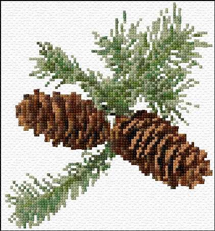 Pine Cones