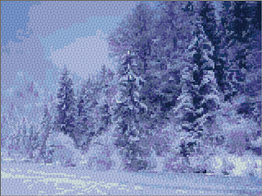 Snow Forest