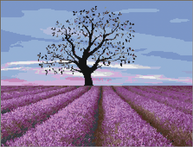 Lavender Field