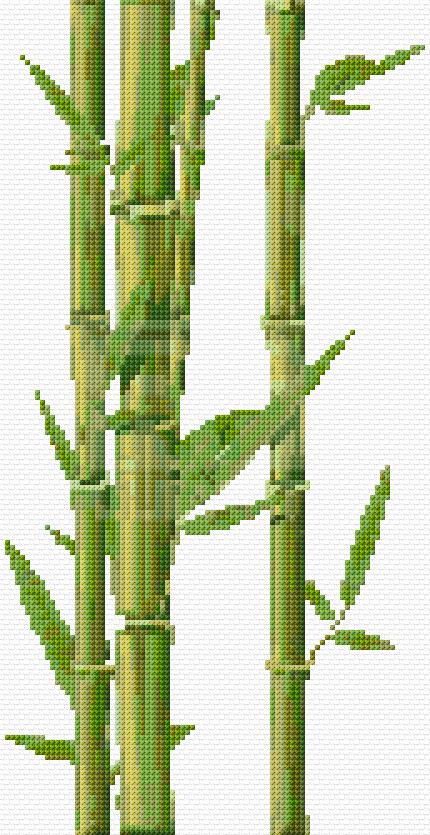 Bamboo