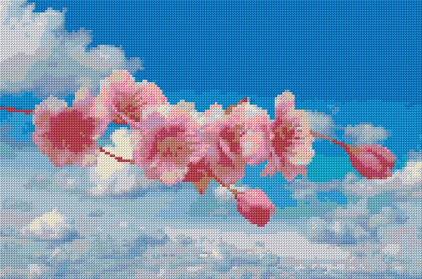Cherry Blossom