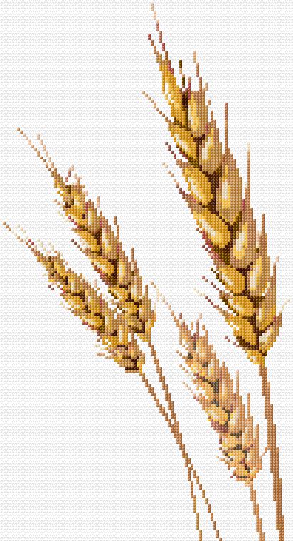 Spikelets