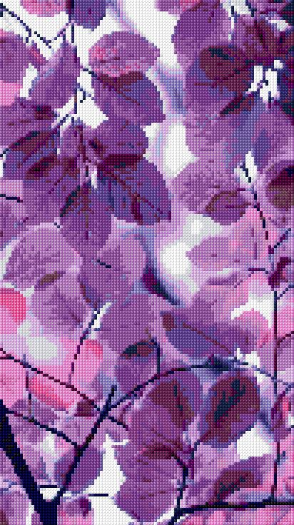 Purple Leaves