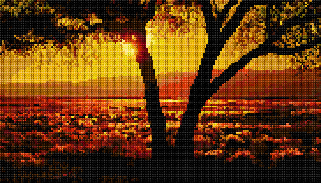 Desert Sunset